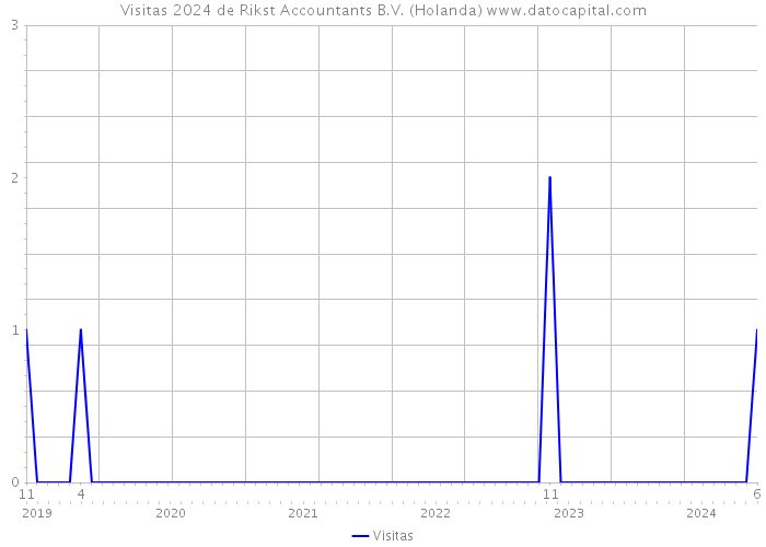 Visitas 2024 de Rikst Accountants B.V. (Holanda) 