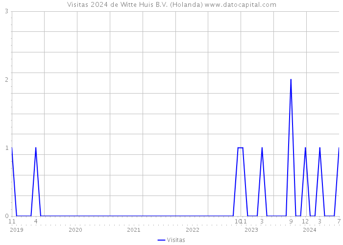 Visitas 2024 de Witte Huis B.V. (Holanda) 