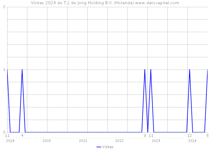 Visitas 2024 de T.J. de Jong Holding B.V. (Holanda) 