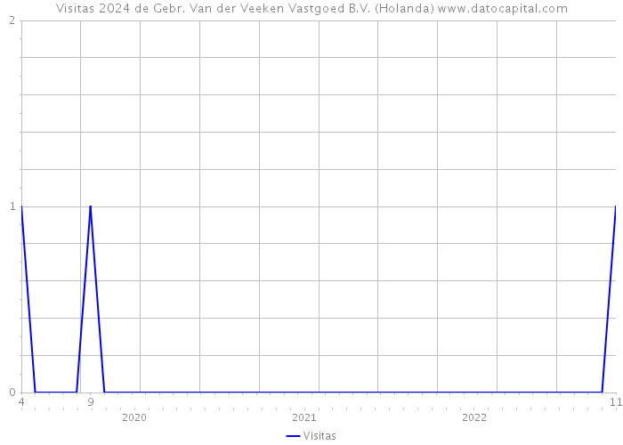 Visitas 2024 de Gebr. Van der Veeken Vastgoed B.V. (Holanda) 