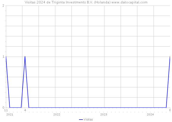 Visitas 2024 de Triginta Investments B.V. (Holanda) 