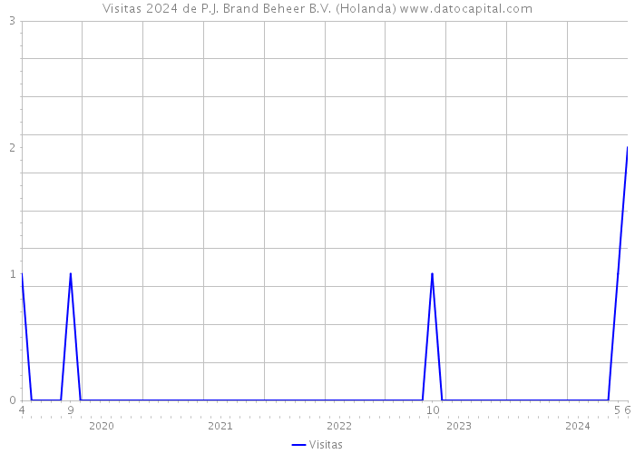 Visitas 2024 de P.J. Brand Beheer B.V. (Holanda) 