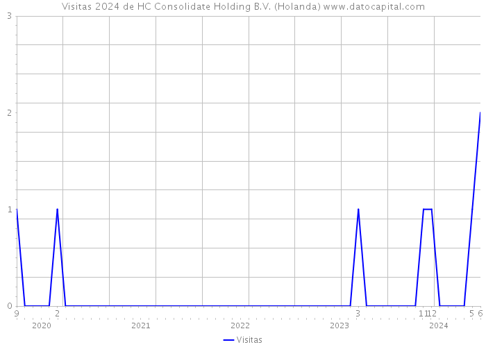 Visitas 2024 de HC Consolidate Holding B.V. (Holanda) 