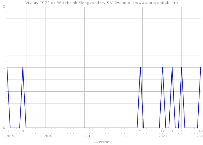 Visitas 2024 de Wittebrink Mengvoeders B.V. (Holanda) 
