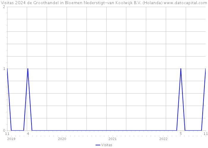 Visitas 2024 de Groothandel in Bloemen Nederstigt-van Koolwijk B.V. (Holanda) 
