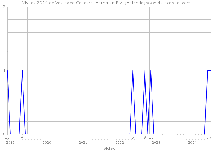 Visitas 2024 de Vastgoed Callaars-Hornman B.V. (Holanda) 