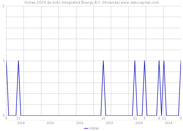 Visitas 2024 de Indo Integrated Energy B.V. (Holanda) 