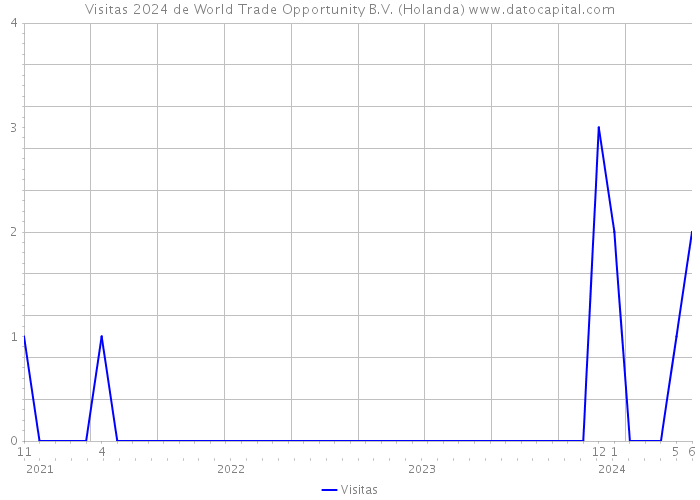 Visitas 2024 de World Trade Opportunity B.V. (Holanda) 