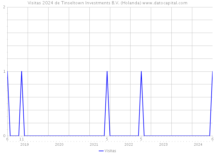 Visitas 2024 de Tinseltown Investments B.V. (Holanda) 