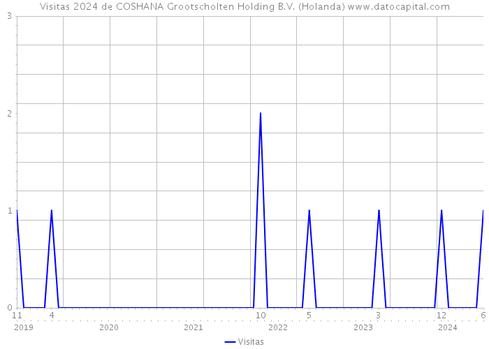 Visitas 2024 de COSHANA Grootscholten Holding B.V. (Holanda) 