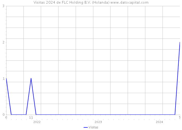 Visitas 2024 de FLC Holding B.V. (Holanda) 