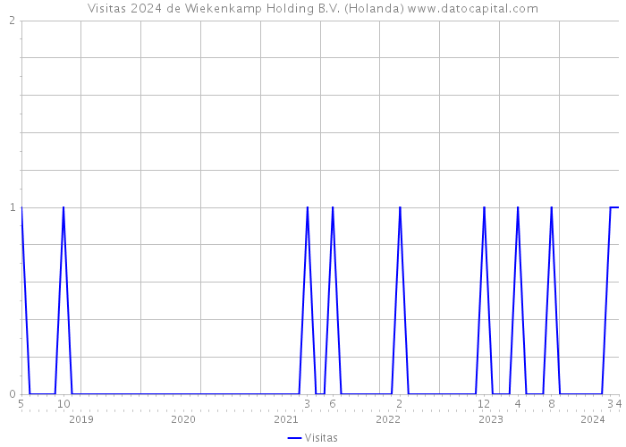 Visitas 2024 de Wiekenkamp Holding B.V. (Holanda) 