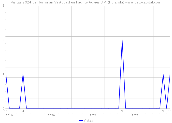 Visitas 2024 de Hornman Vastgoed en Facility Advies B.V. (Holanda) 