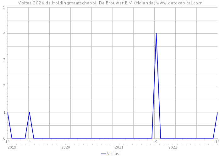 Visitas 2024 de Holdingmaatschappij De Brouwer B.V. (Holanda) 