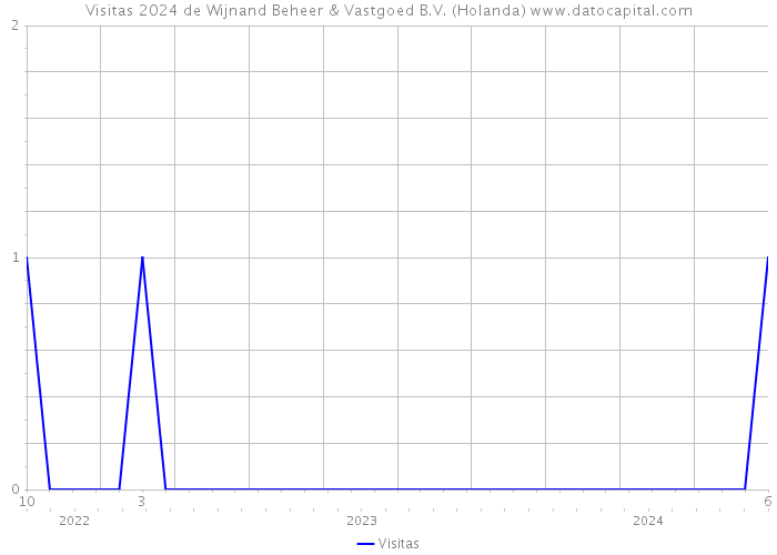 Visitas 2024 de Wijnand Beheer & Vastgoed B.V. (Holanda) 