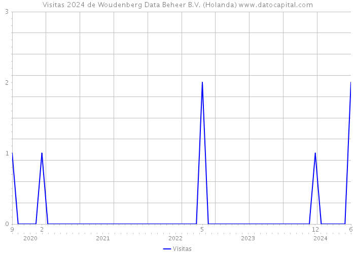Visitas 2024 de Woudenberg Data Beheer B.V. (Holanda) 