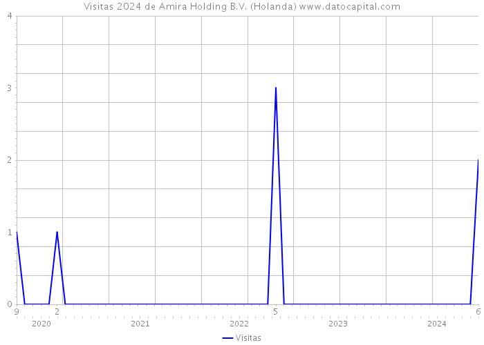 Visitas 2024 de Amira Holding B.V. (Holanda) 