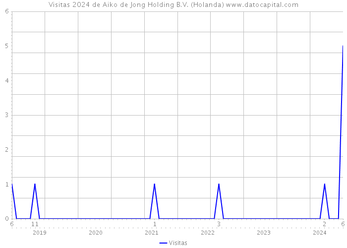 Visitas 2024 de Aiko de Jong Holding B.V. (Holanda) 