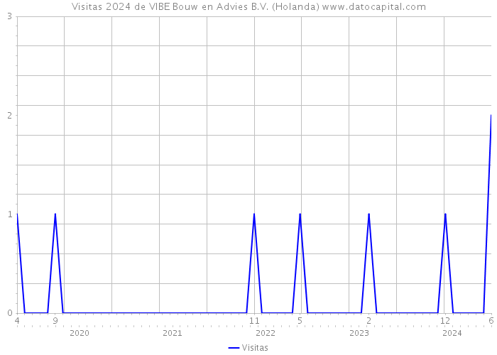 Visitas 2024 de VIBE Bouw en Advies B.V. (Holanda) 