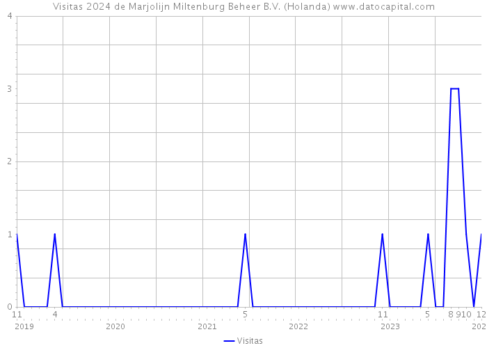 Visitas 2024 de Marjolijn Miltenburg Beheer B.V. (Holanda) 