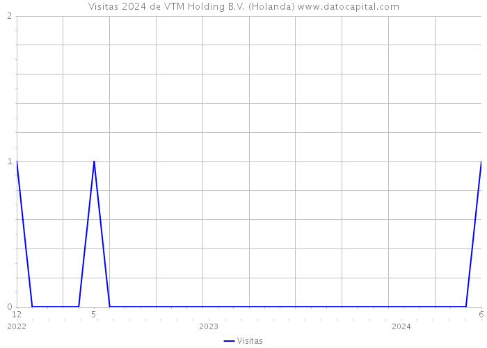 Visitas 2024 de VTM Holding B.V. (Holanda) 