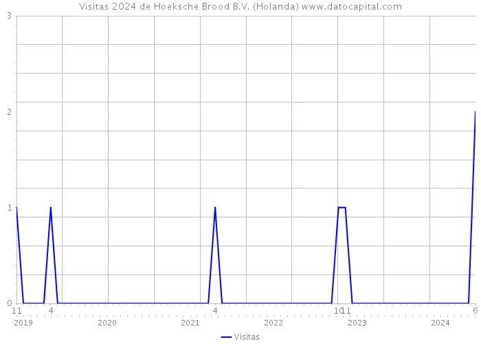 Visitas 2024 de Hoeksche Brood B.V. (Holanda) 