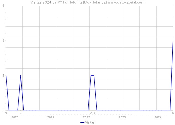 Visitas 2024 de XY Fu Holding B.V. (Holanda) 