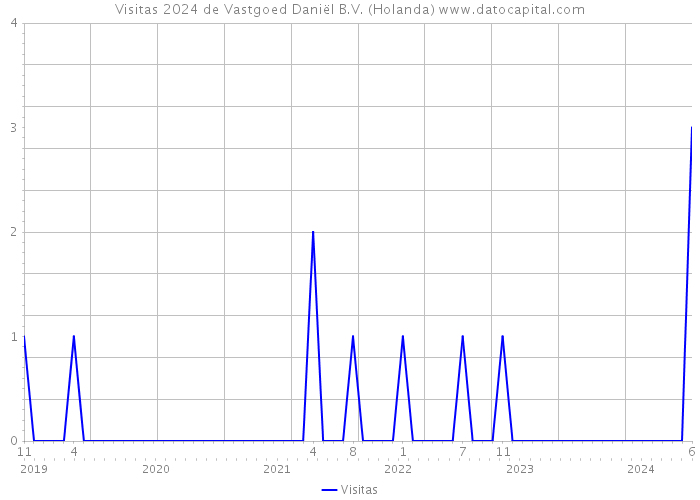 Visitas 2024 de Vastgoed Daniël B.V. (Holanda) 