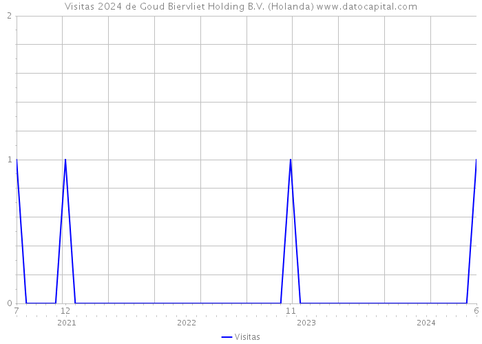 Visitas 2024 de Goud Biervliet Holding B.V. (Holanda) 