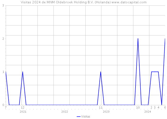 Visitas 2024 de MNM Oldebroek Holding B.V. (Holanda) 