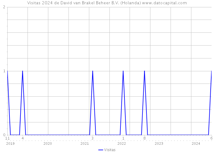 Visitas 2024 de David van Brakel Beheer B.V. (Holanda) 