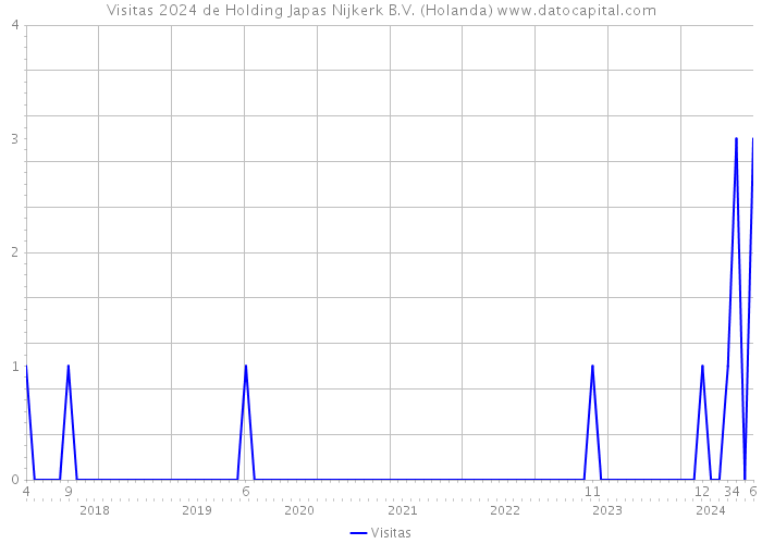 Visitas 2024 de Holding Japas Nijkerk B.V. (Holanda) 