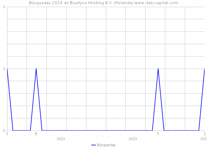 Búsquedas 2024 de Bouhjira Holding B.V. (Holanda) 