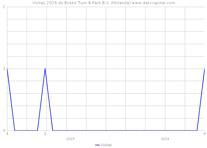 Visitas 2024 de Boeke Tuin & Park B.V. (Holanda) 