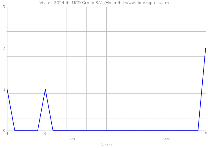 Visitas 2024 de NCD Groep B.V. (Holanda) 