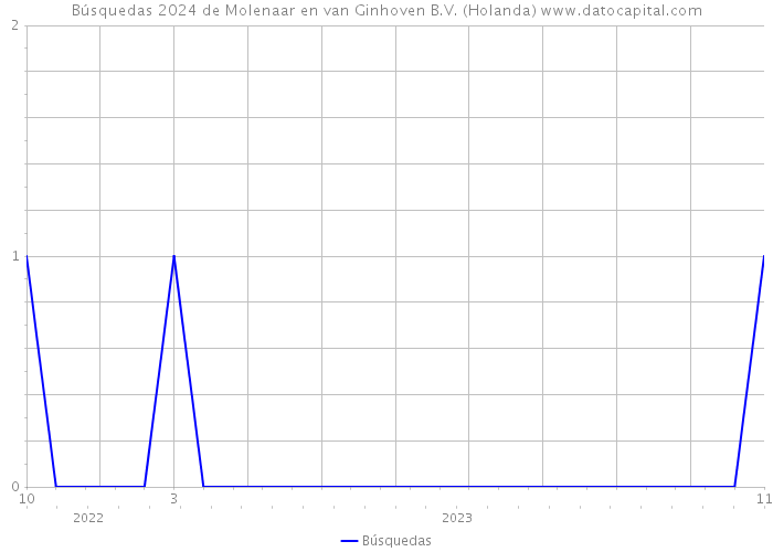 Búsquedas 2024 de Molenaar en van Ginhoven B.V. (Holanda) 