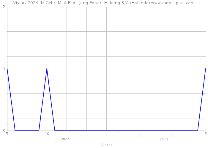 Visitas 2024 de Gebr. M. & E. de Jong Export Holding B.V. (Holanda) 