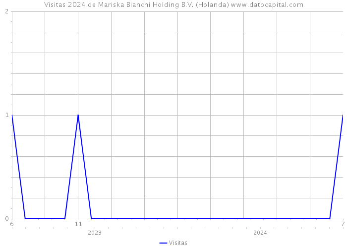 Visitas 2024 de Mariska Bianchi Holding B.V. (Holanda) 