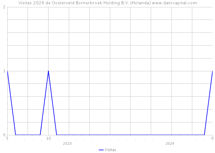 Visitas 2024 de Oosterveld Bornerbroek Holding B.V. (Holanda) 
