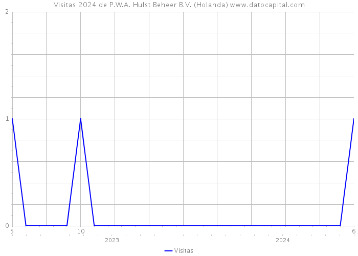 Visitas 2024 de P.W.A. Hulst Beheer B.V. (Holanda) 