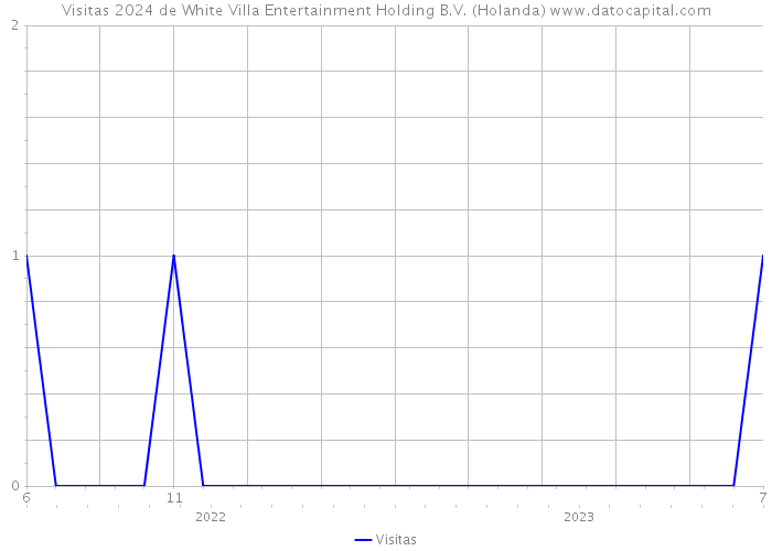 Visitas 2024 de White Villa Entertainment Holding B.V. (Holanda) 