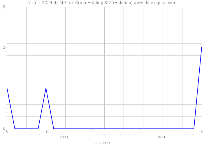 Visitas 2024 de M.F. de Groot Holding B.V. (Holanda) 