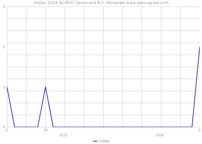 Visitas 2024 de MVO Varsseveld B.V. (Holanda) 