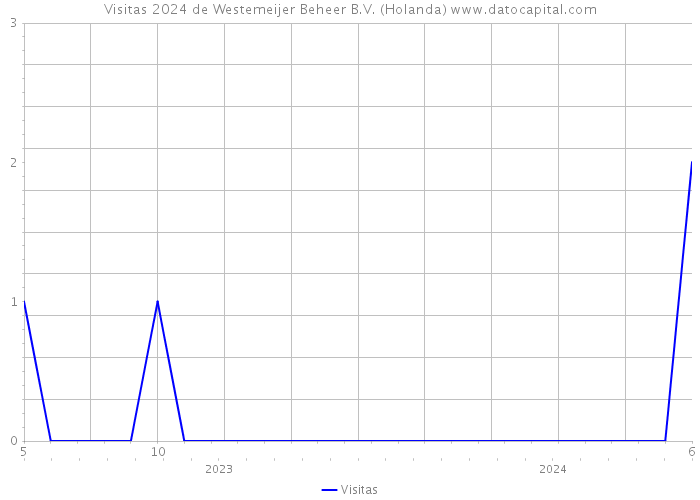 Visitas 2024 de Westemeijer Beheer B.V. (Holanda) 