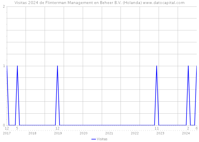 Visitas 2024 de Flinterman Management en Beheer B.V. (Holanda) 