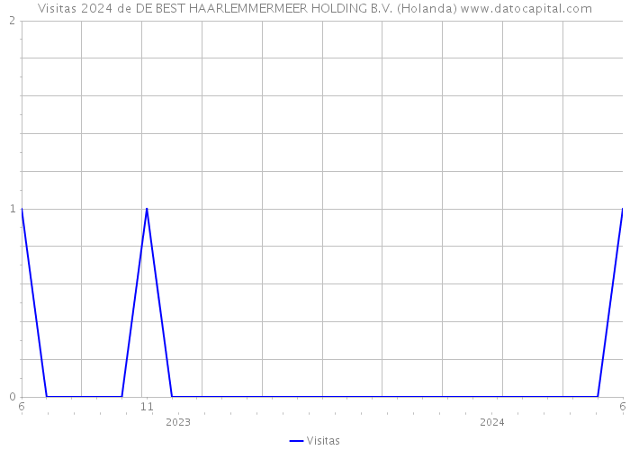 Visitas 2024 de DE BEST HAARLEMMERMEER HOLDING B.V. (Holanda) 