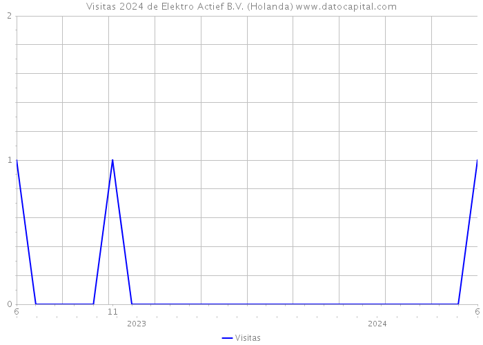 Visitas 2024 de Elektro Actief B.V. (Holanda) 