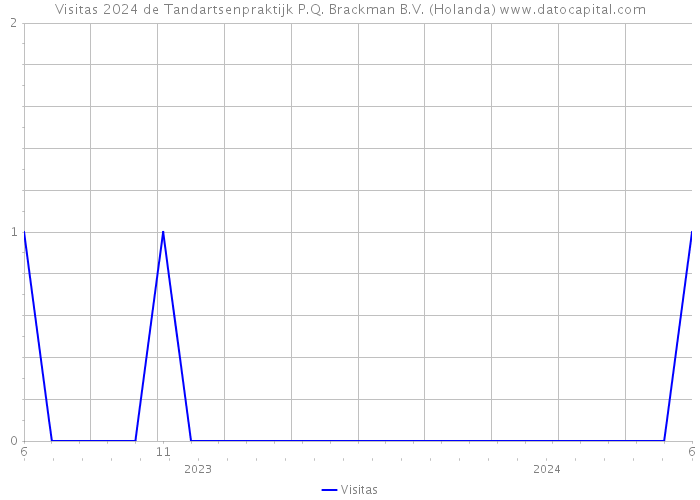 Visitas 2024 de Tandartsenpraktijk P.Q. Brackman B.V. (Holanda) 