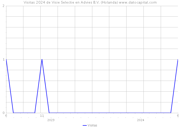 Visitas 2024 de Visie Selectie en Advies B.V. (Holanda) 