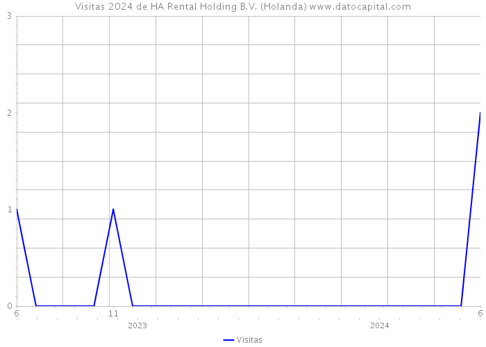 Visitas 2024 de HA Rental Holding B.V. (Holanda) 